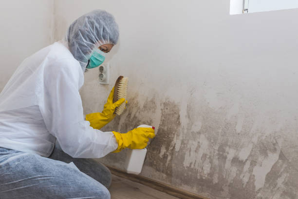 Water Damage Restoration in Warren, IL