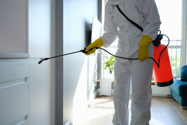  Warren, IL Mold Removal Pros