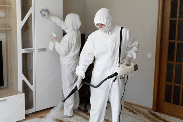 Best Crawl Space Mold Removal  in Warren, IL